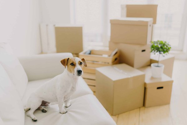 Comment choisir une écharpe qui ne démange pas pour les peaux sensibles?